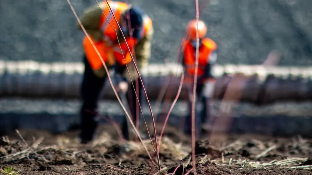 Greening and ecological regeneration of industrial areas — Kryvyi Rih district investment priority